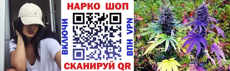 Все наркотики Купино Кокаин  Конопля  APVP  ГАШИШ  Псилоцибиновые грибы  Метамфетамин  МЕФ 