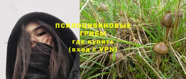 наркотики Белокуриха