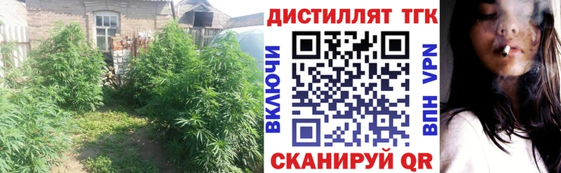 ТГК концентрат  цена наркотик  Купино 